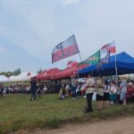 Litwa - Udział w wydarzeniach "Operacja Ostra Brama"